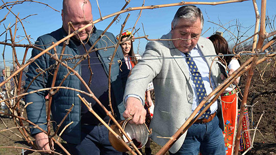 Ритуално зарязаха лозята на Тракийски университет