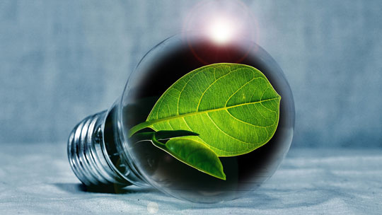 lightbulb