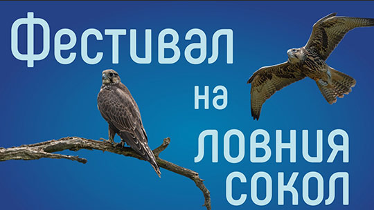 В Малко Кадиево организират традиционния Фестивал на ловния сокол