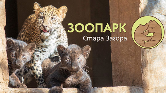Зоопарк Стара Загора с номинация за Годишните награди за туризъм