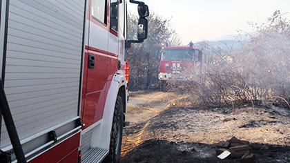 Пожарът в село Ягода е потушен, потрадали няма