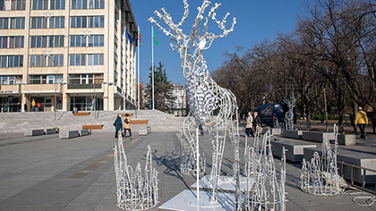 Деца посрещнаха елените на Дядо Коледа в Стара Загора