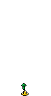 Rocket green