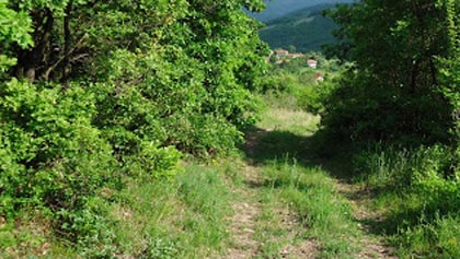 Община Стара Загора изгражда горски път в пожароопасен район