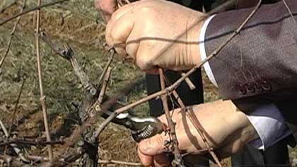В село Малка Верея избират Цар Трифон