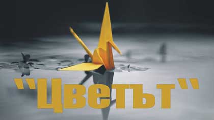 Обявен е конкурс за художествен текст на тема "Цветът"