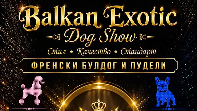 Balkan Exotic Dog Show