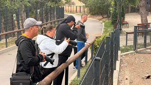 Фотографска изложба в Зоопарк Стара Загора показва животните в 18 кадъра